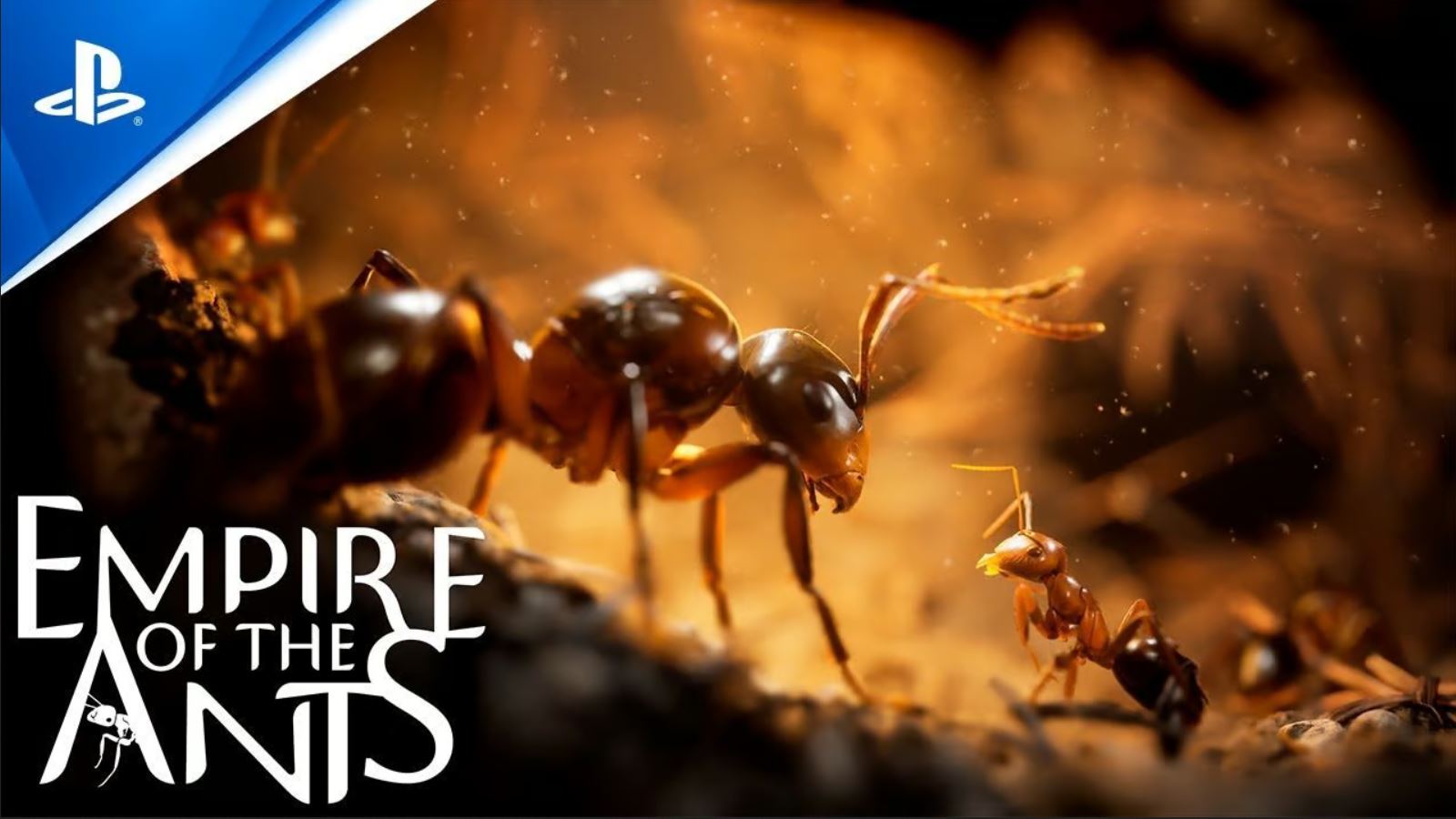 Empire Ants