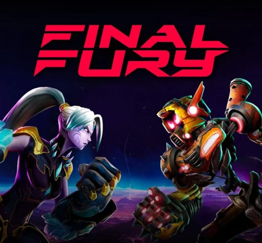 Final Fury