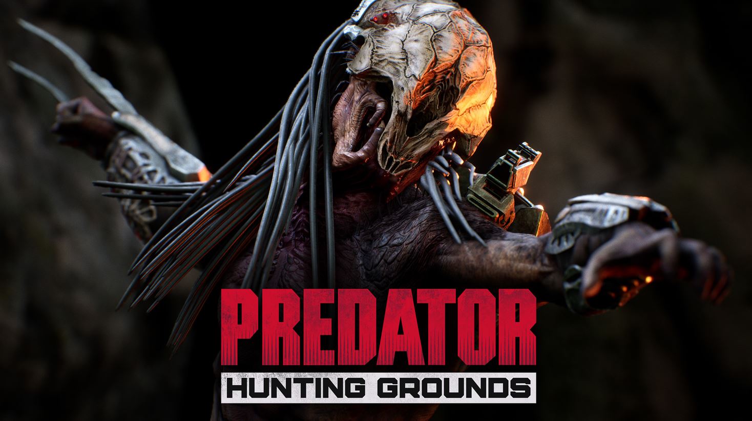 Predator