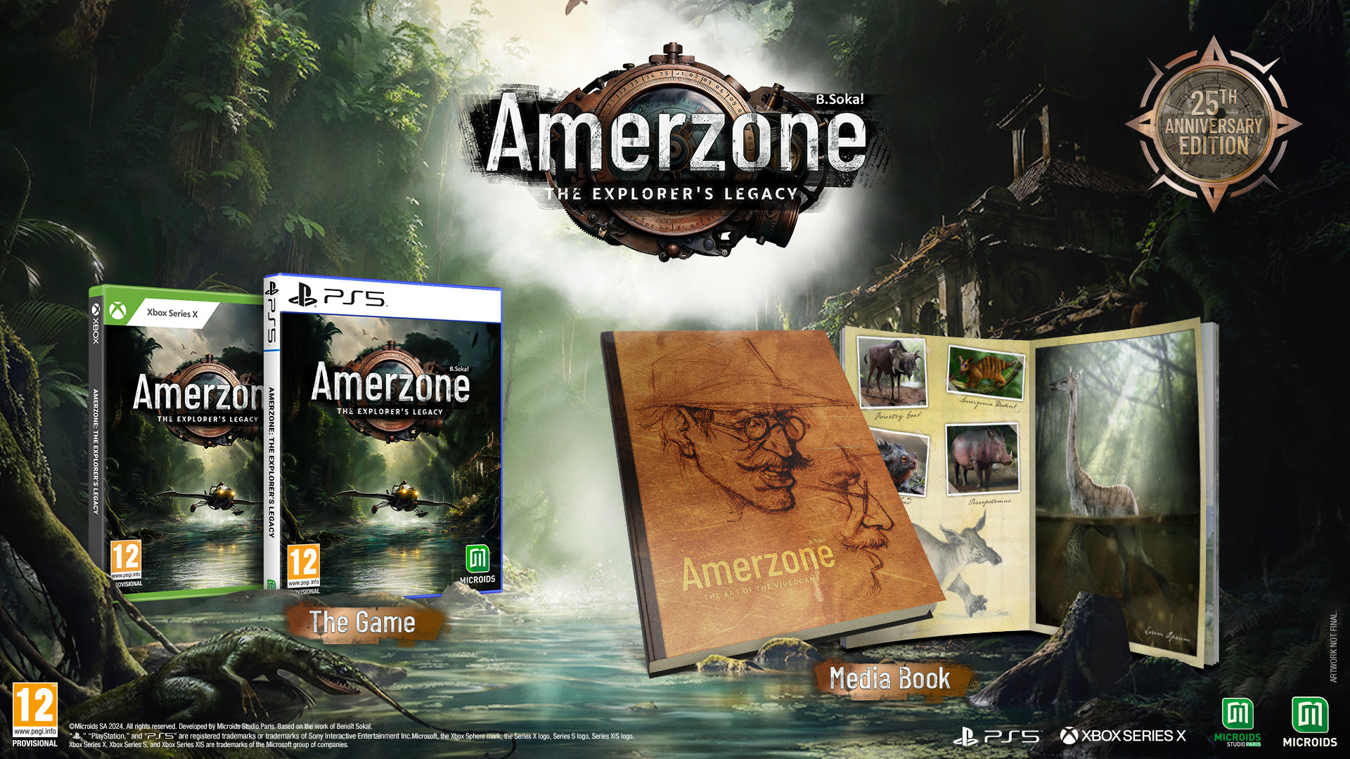 Amerzone